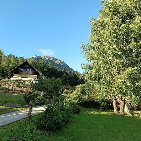 Kralj Matjaz - The Green Escape Under Alps Golnik Exteriér fotografie