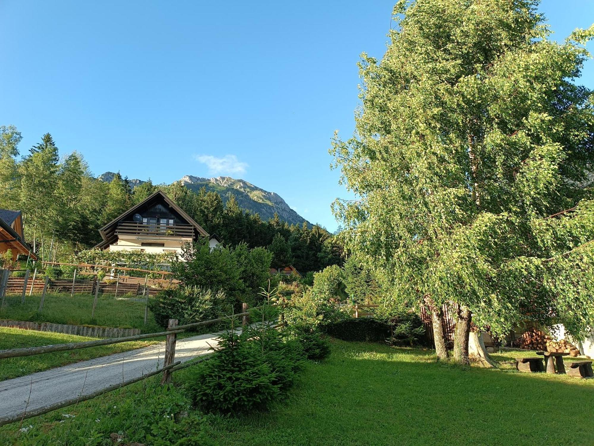 Kralj Matjaz - The Green Escape Under Alps Golnik Exteriér fotografie