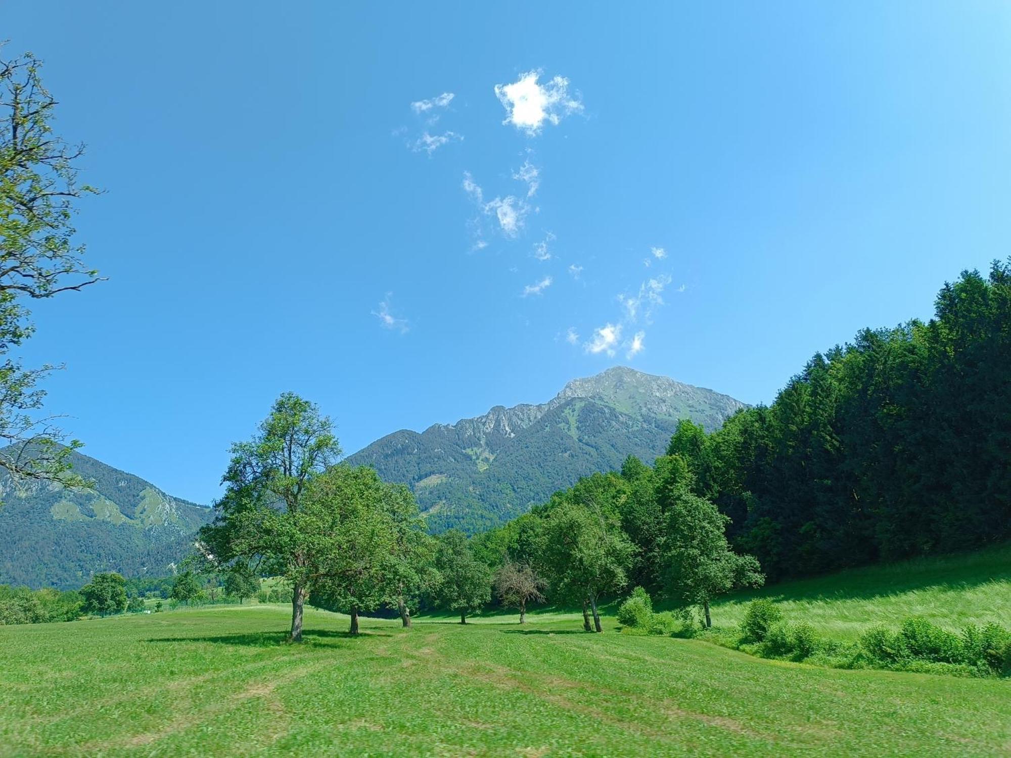 Kralj Matjaz - The Green Escape Under Alps Golnik Exteriér fotografie
